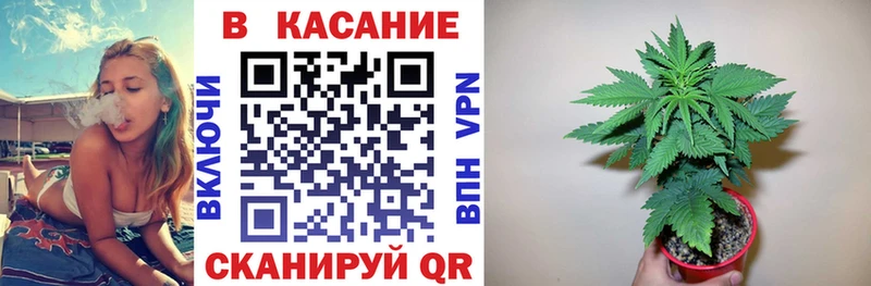 ТГК Курск