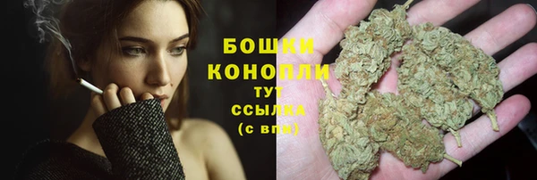 мескалин Бородино